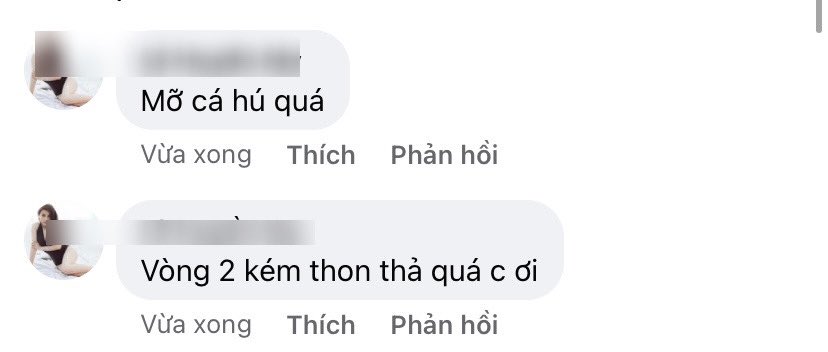 Một cư dân mạng để lại bình luận cho rằng, Hương Giang trong bộ ảnh mới có phần kém thon thả (Ảnh: Internet)