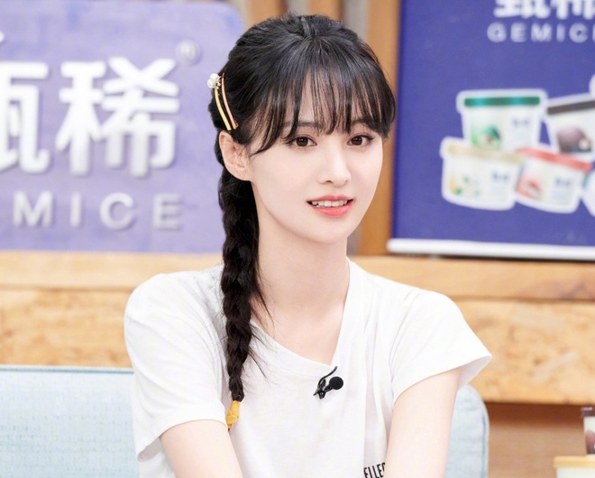 Trịnh Sảng sụp đổ sự nghiệp vì ồn ào đẻ thuê, rũ bỏ con cái