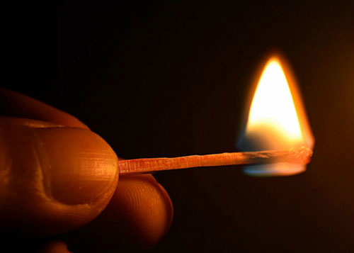 Người tuổi Tuất không nên làm gì dịp đầu năm để được may mắn trong năm mới Tân Sửu 2021? - Ảnh 2