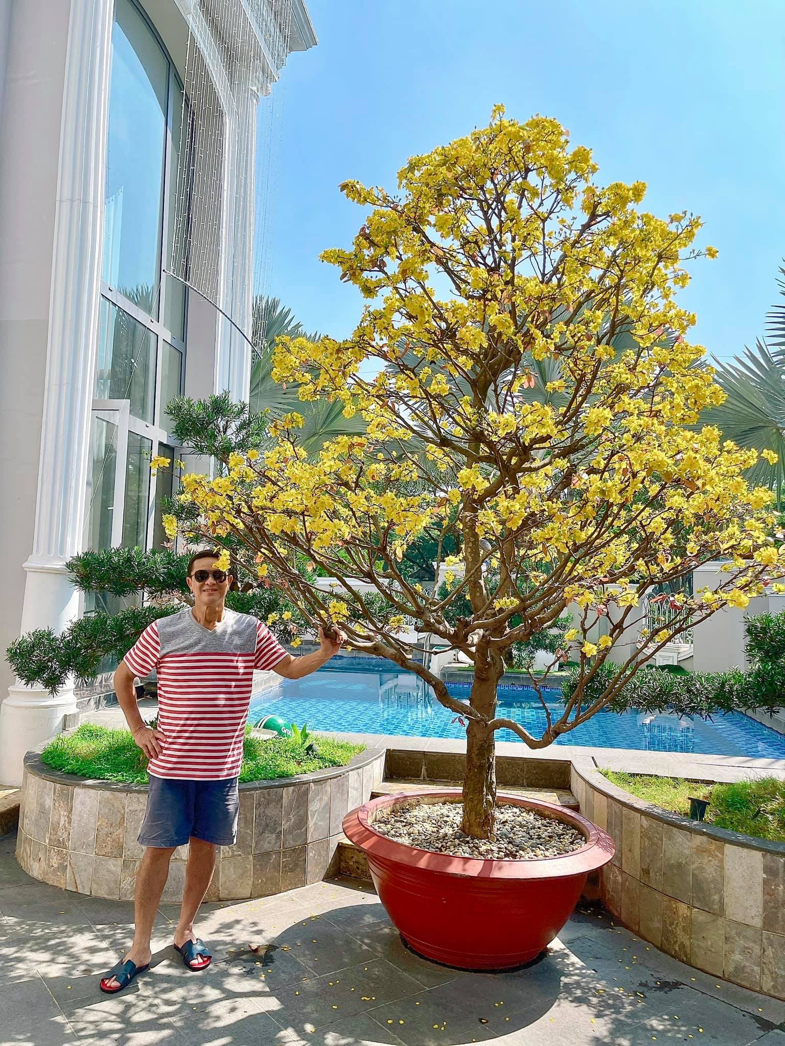 Bố của Bảo Thy tạo dáng bên cây mai đắt giá của gia đình