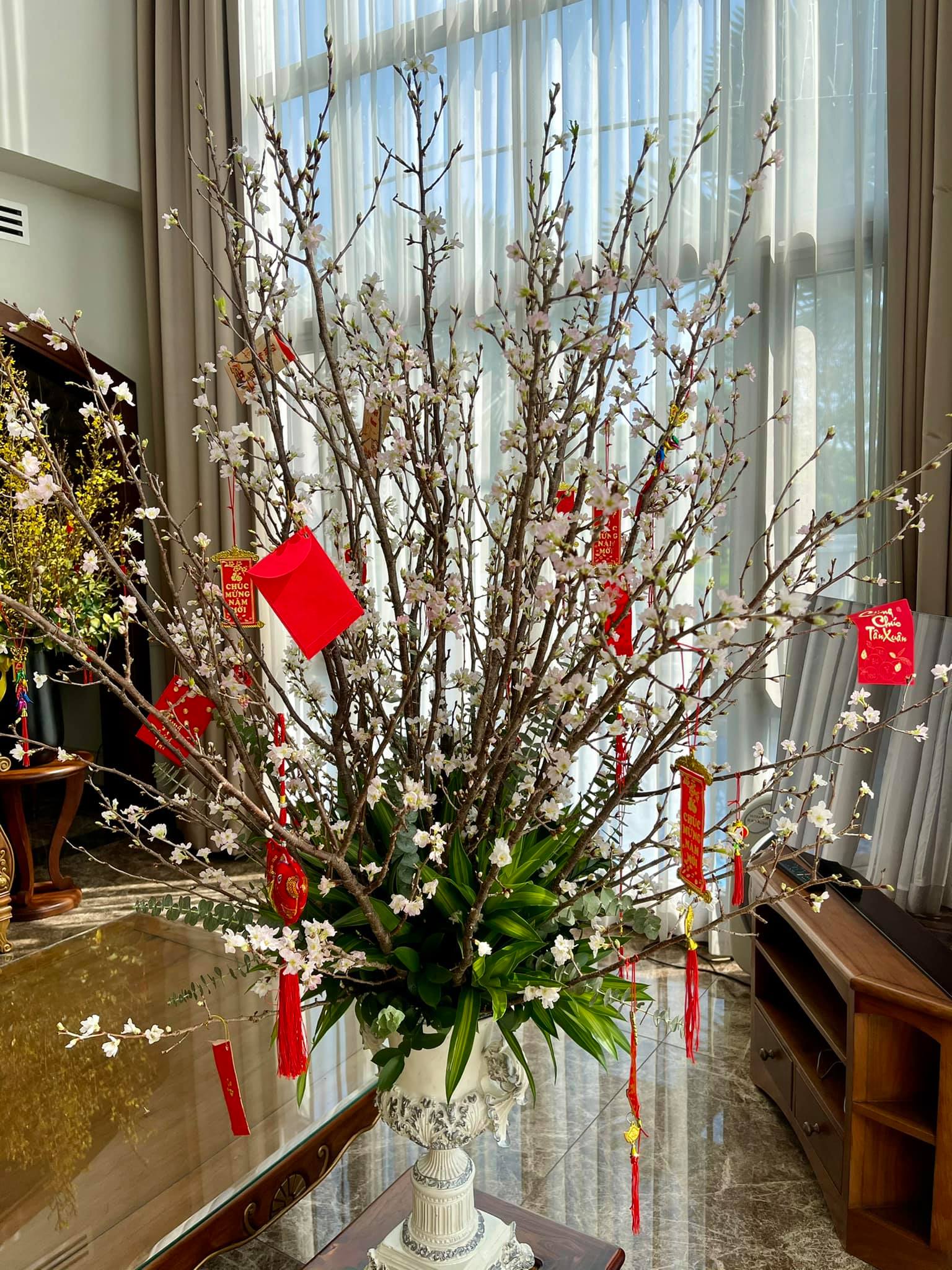 Căn nhà của Bảo Thy cũng đã ngập sắc màu của hoa và không khí tết