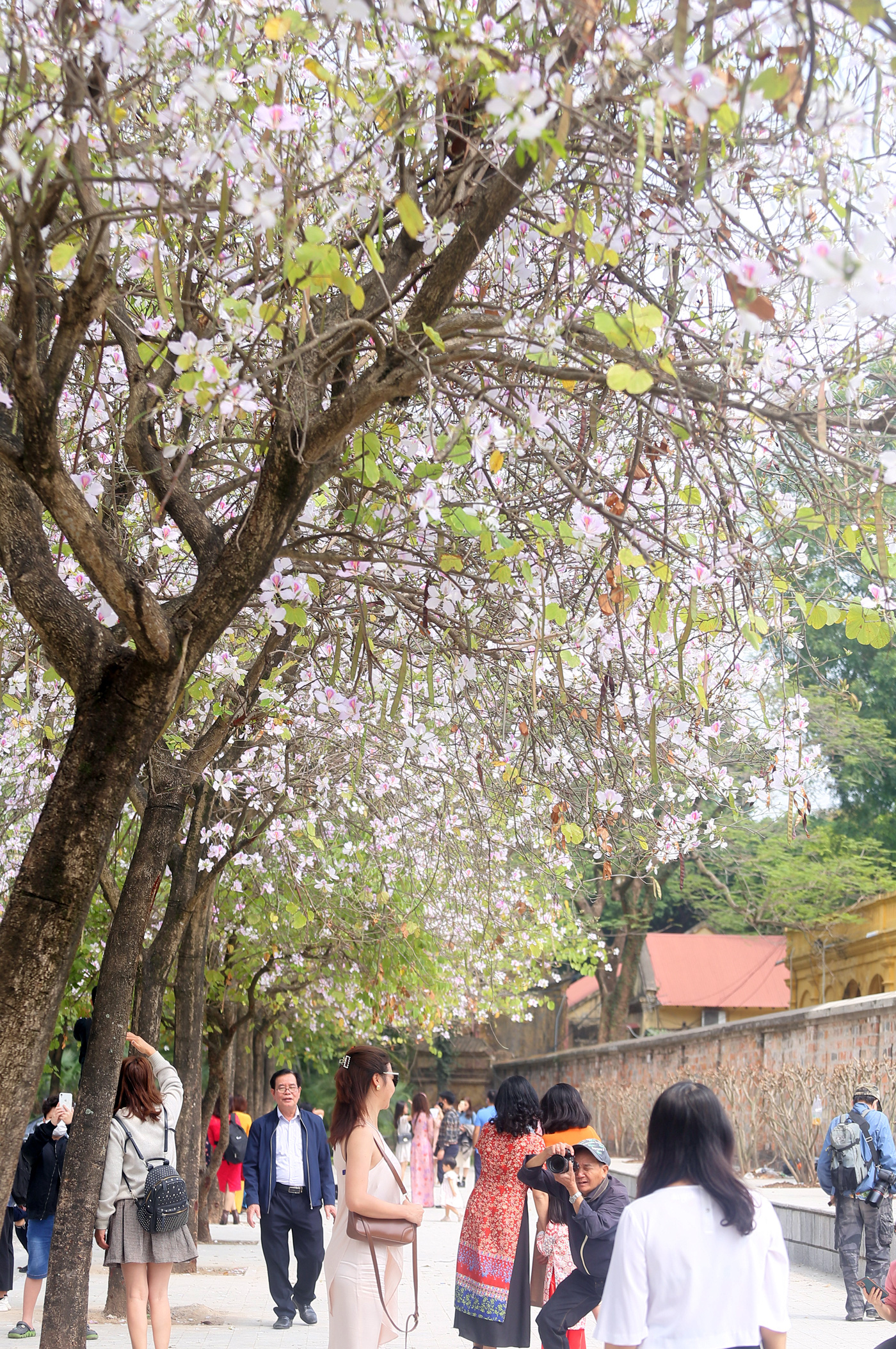 Nhiều người không tuân thủ quy định đeo khẩu trang nơi đông người