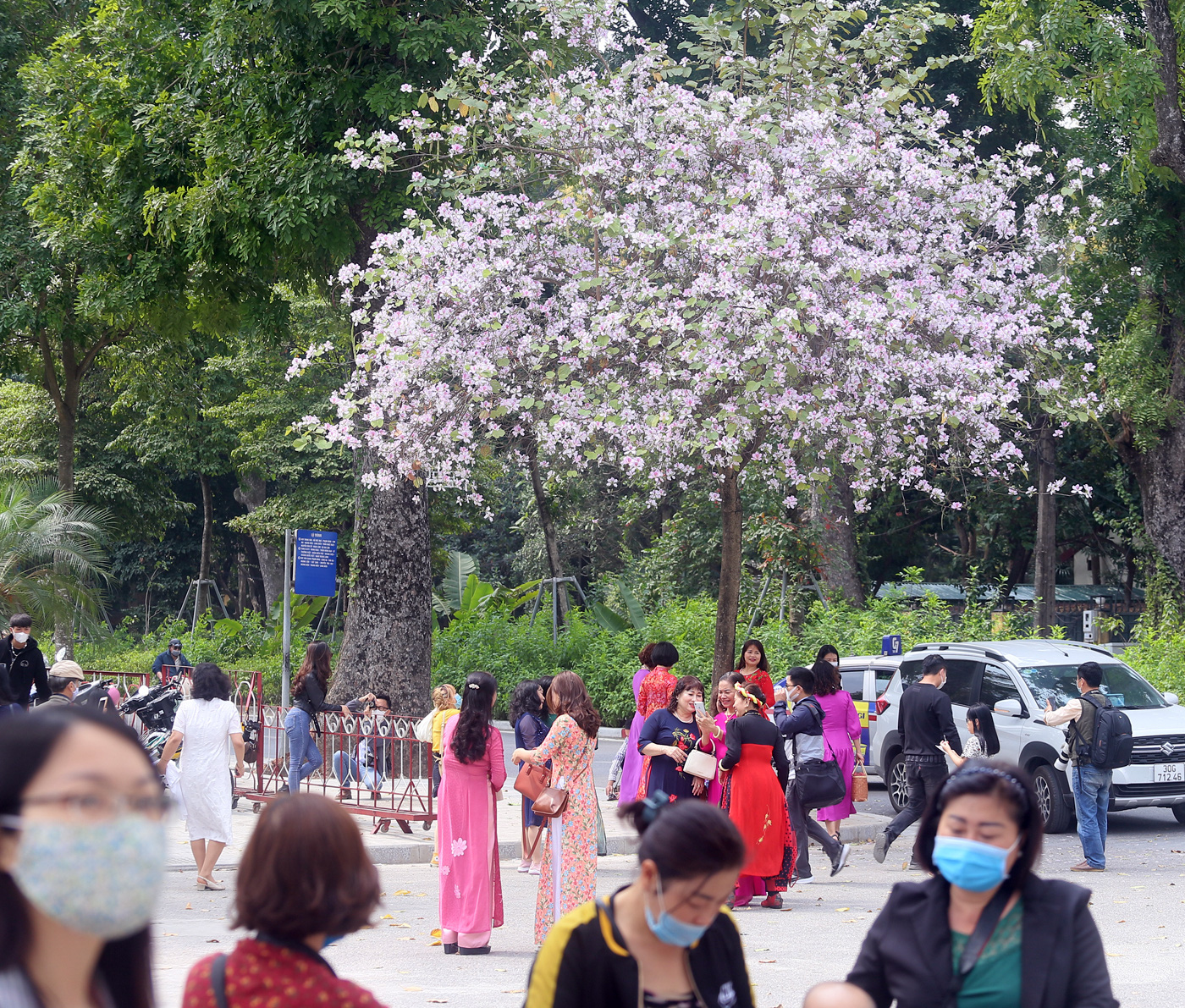 Người dân tụ tập đông người chụp ảnh bất chấp tình hình dịch bệnh đang có diễn biến phức tạp. Ảnh: Pháp luật và bạn đọc
