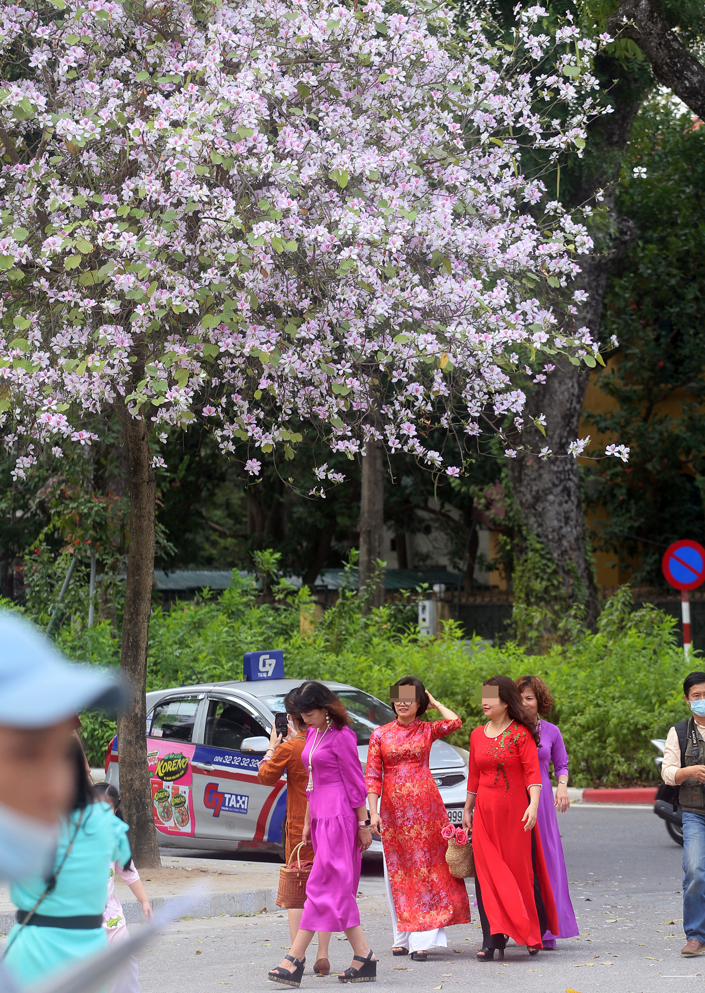 Hoa ban nở rộ trên đường phố Hà Nội, người dân bất chấp dịch bệnh vẫn tụ tập đông người để chụp ảnh - Ảnh 2