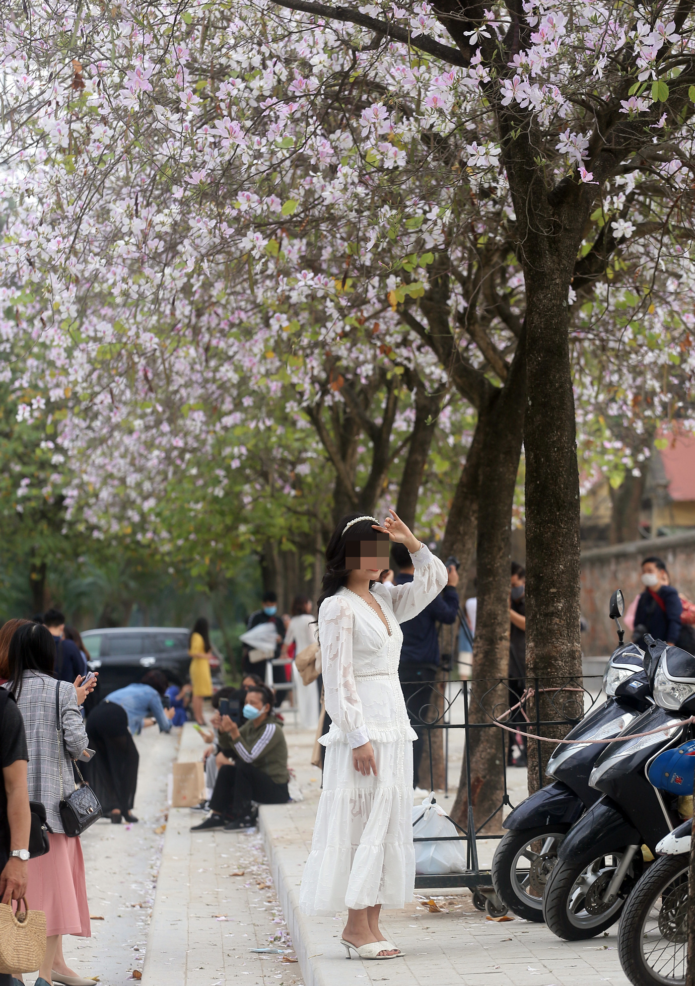 Hoa ban nở rộ trên đường phố Hà Nội, người dân bất chấp dịch bệnh vẫn tụ tập đông người để chụp ảnh - Ảnh 3