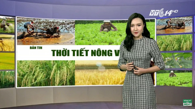MC Diễm My của Bản tin thời tiết nông vụ. Ảnh: Internet MC Diễm My của Bản tin thời tiết nông vụ. Ảnh: Internet