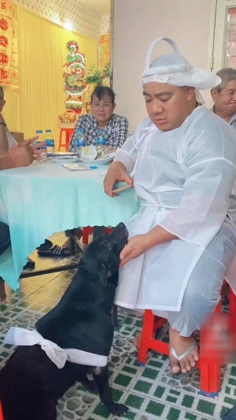 Xôn xao khoảnh khắc đeo khăn trắng, buồn rầu trong đám tang chủ của chú chó được bố Hiếu Hiền nuôi nấng - Ảnh 1