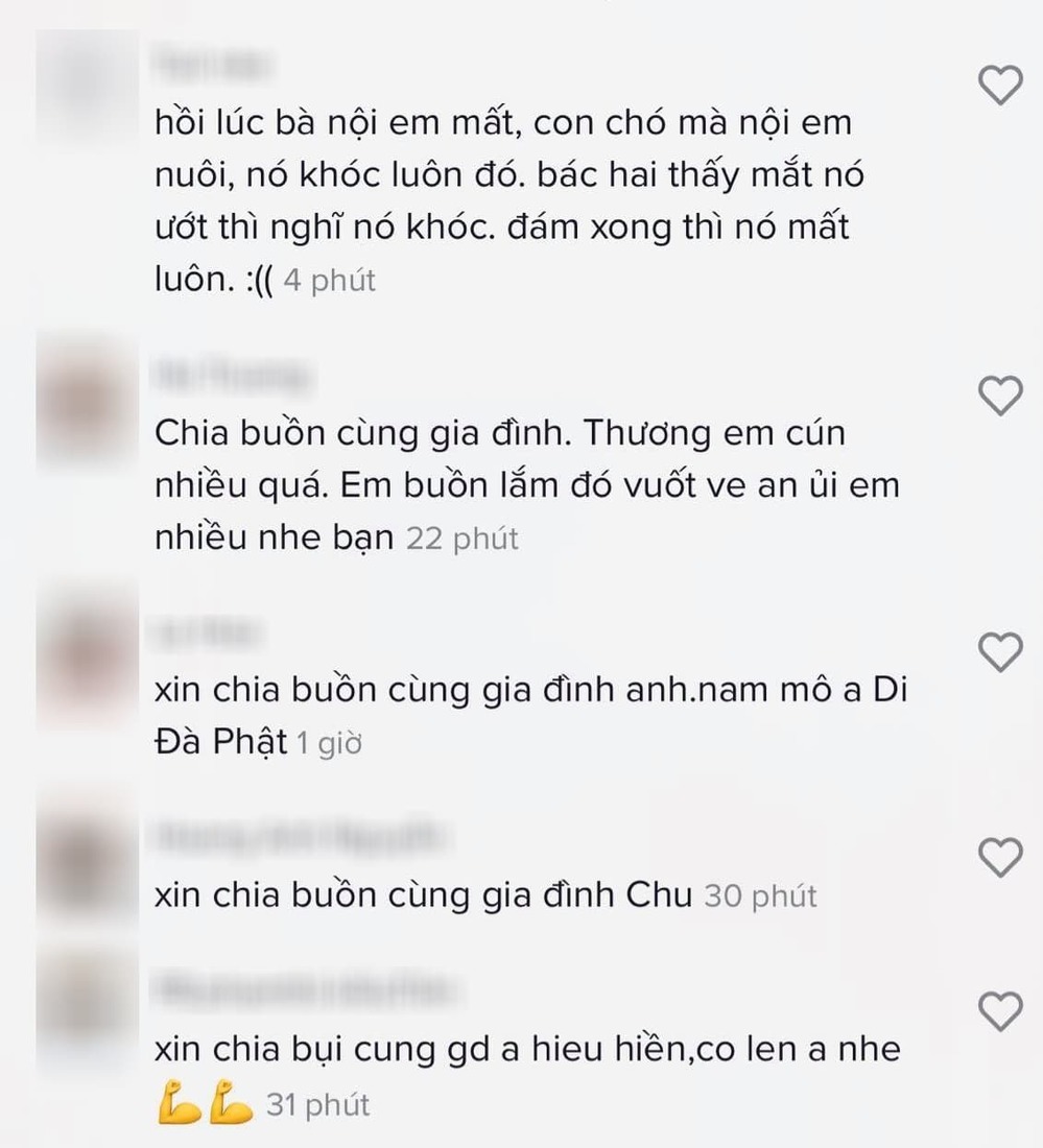 Nhiều người cũng gửi lời chia buồn đến Hiếu Hiền