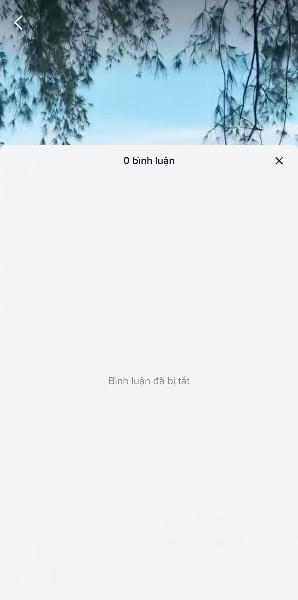 Vũ Anh Thư đã khóa bình luận tiktok trong tối 27/5