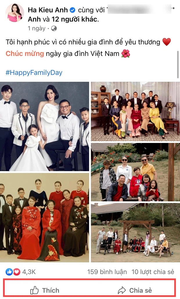 Loạt hình ảnh gia đình của Hà Kiều Anh cũng không thể bình luận được. Ảnh: FBNV