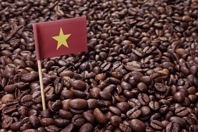 Giá cà phê hôm nay 4/9: Cà phê robusta tăng nhẹ, cà phê trong nước biến động đi xuống - Ảnh 1 Giá cà phê hôm nay 4/9: Cà phê robusta tăng nhẹ, cà phê trong nước biến động đi xuống - Ảnh 1