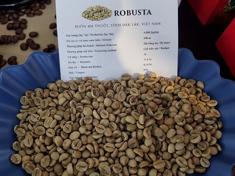 Giá cà phê hôm nay 9/9: Cà phê Robusta và Arabica đồng loạt tăng 2