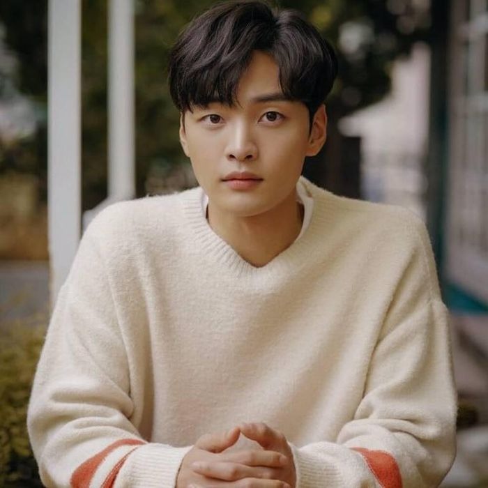 Dàn diễn viên 'trai xinh gái đẹp' màn ảnh Hàn suýt chút nữa trở thành idol Kpop - Ảnh 7 Dàn diễn viên 'trai xinh gái đẹp' màn ảnh Hàn suýt chút nữa trở thành idol Kpop - Ảnh 7