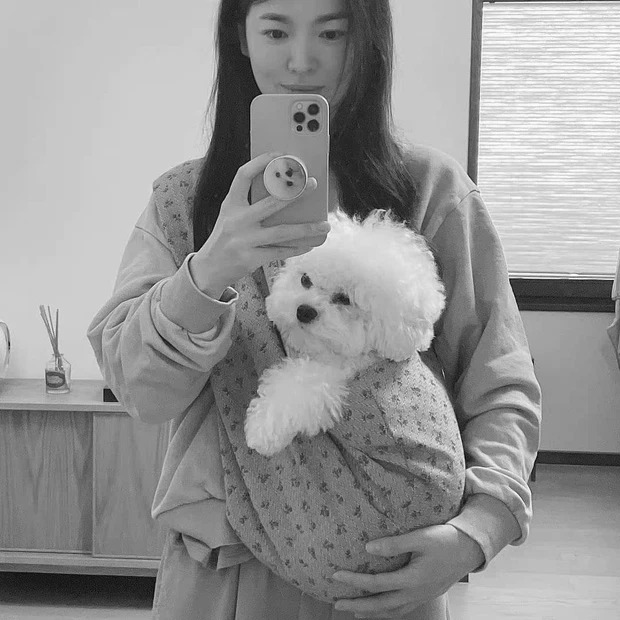 Song Hye Kyo lộ diện đúng lúc Song Joong Ki rộ nghi vấn hẹn hò 'tình tin đồn' bên trời Tây 2 Song Hye Kyo lộ diện đúng lúc Song Joong Ki rộ nghi vấn hẹn hò 'tình tin đồn' bên trời Tây 2