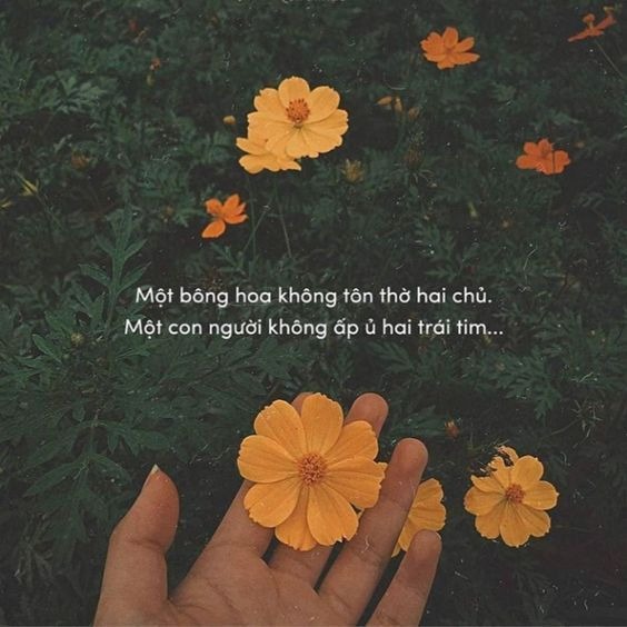 Tuyển tập 1001 status hài hước nhất về cuộc sống. Ảnh: Internet Tuyển tập 1001 status hài hước nhất về cuộc sống. Ảnh: Internet