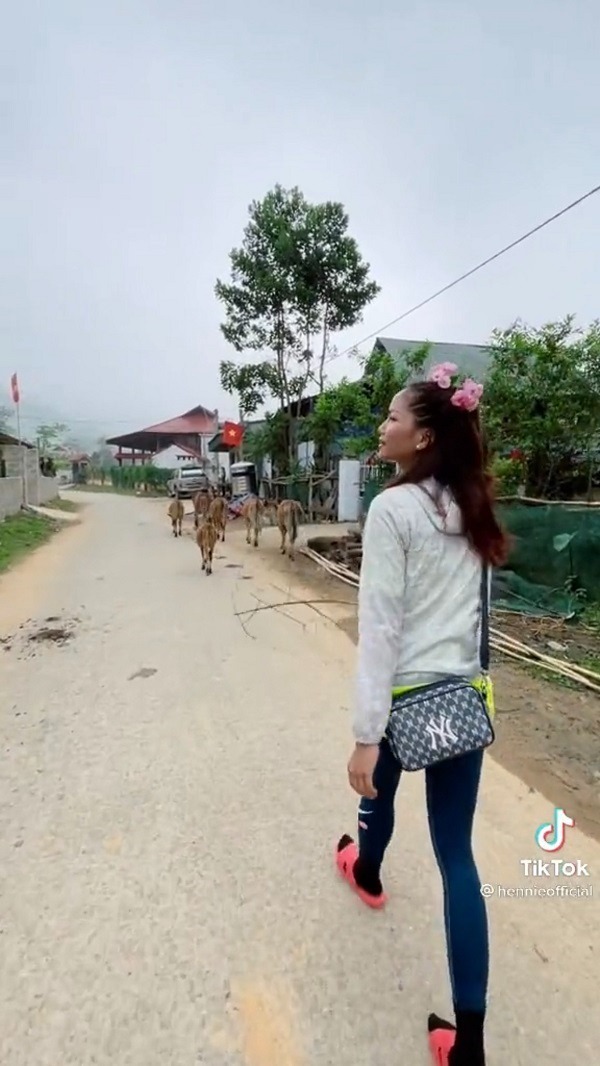 Hình ảnh chăn bò của H'Hen Niê gây chú ý. Ảnh: Internet