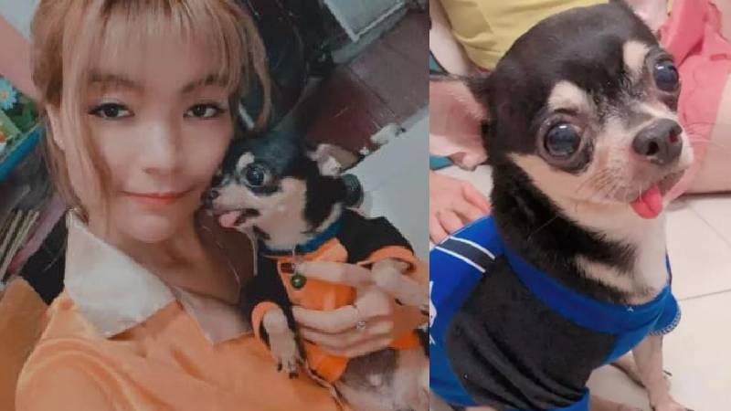 Vợ Mạc Văn Khoa bất ngờ báo tin đau lòng chỉ sau vài ngày diễn ra đám cưới 'khủng'