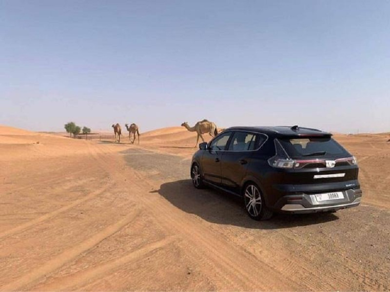 Xe mới của tỷ phú Phạm Nhật Vượng 'chễm chệ' chạy thử tại 'thành phố trong mơ' Dubai - Ảnh 1