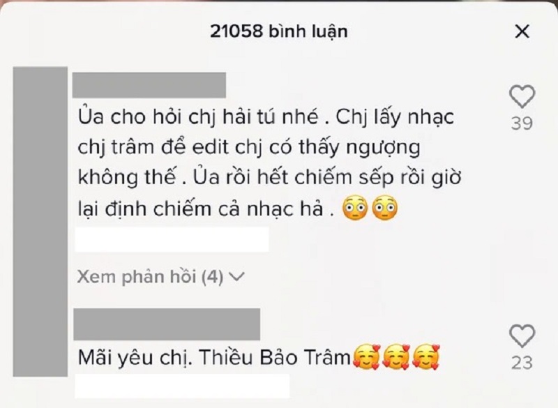 Hải Tú bị soi công khai dùng nhạc Thiều Bảo Trâm chơi Tik Tok, chuyện gì đây? 2