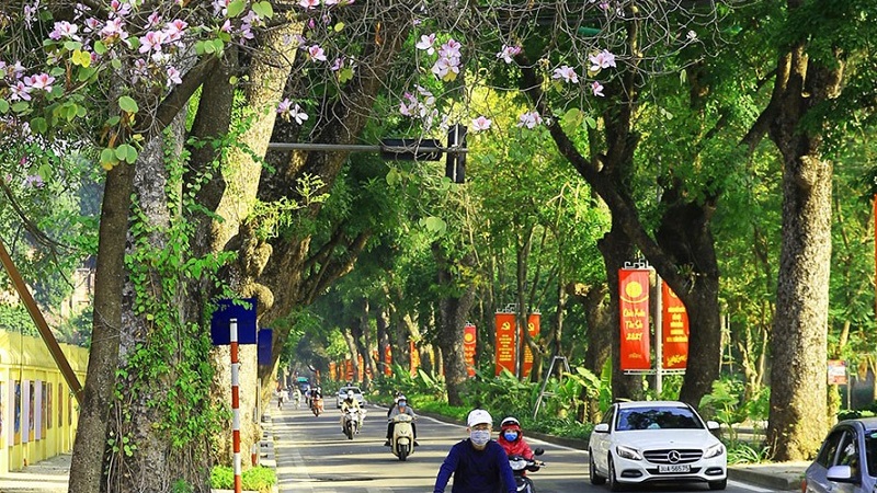 Dự báo thời tiết 19/1: Sương mù nhẹ sáng sớm, Hà Nội ngày nắng đẹp - Ảnh 1