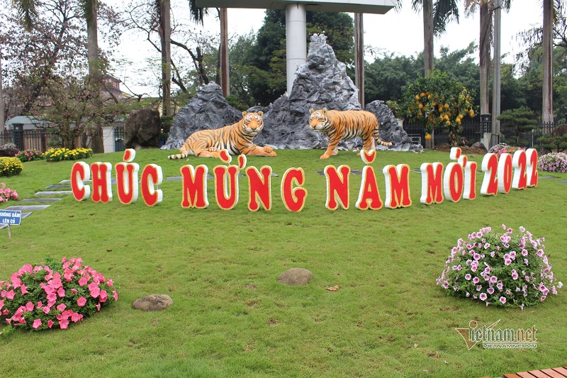 Tượng linh vật hổ 'đẹp nhất Việt Nam' đã xuất hiện ở Thái Nguyên 1