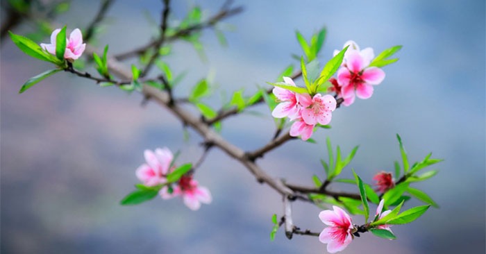 Thời tiết 10 ngày tới trên cả nước (21-31/1): Đêm Giao thừa mưa rét, nhiều nơi rét đậm - Ảnh 1