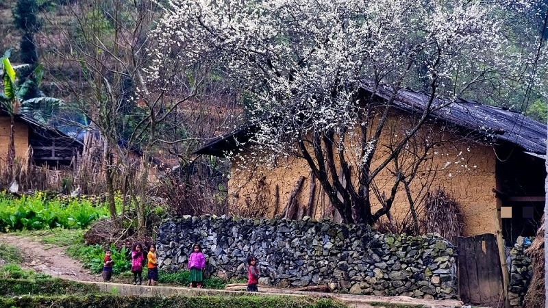 Bản tin thời tiết Tết Nguyên đán Nhâm Dần 2022: Không khí lạnh tiếp tục bổ sung - Ảnh 1
