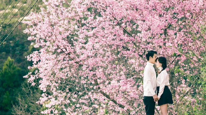 Dự báo thời tiết 14/2: Ngày lễ Tình yêu trời đẹp, thích hợp hẹn hò - Ảnh 1