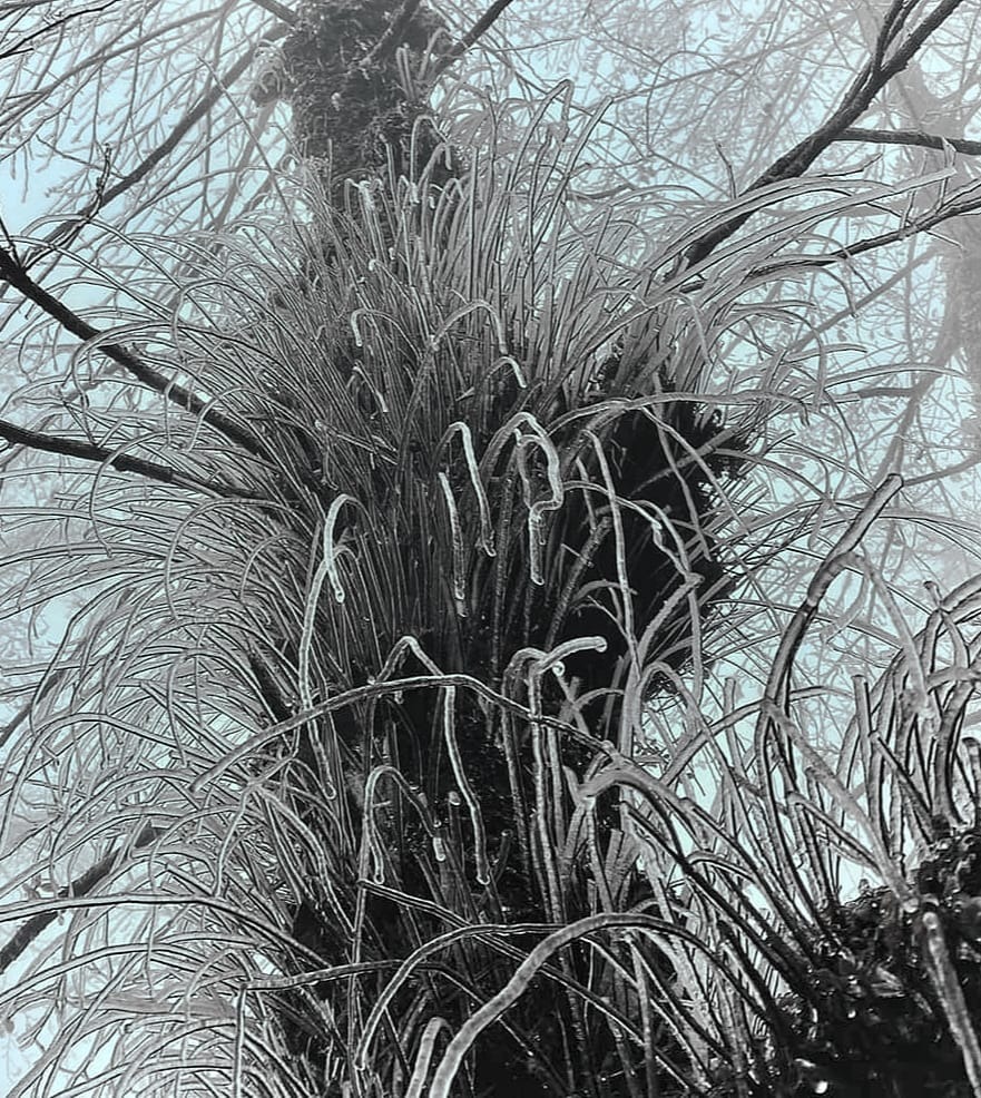 Đợt rét kỷ lục trong lịch sử, 40 năm mới có một lần ở Bắc Bộ  - Ảnh 2