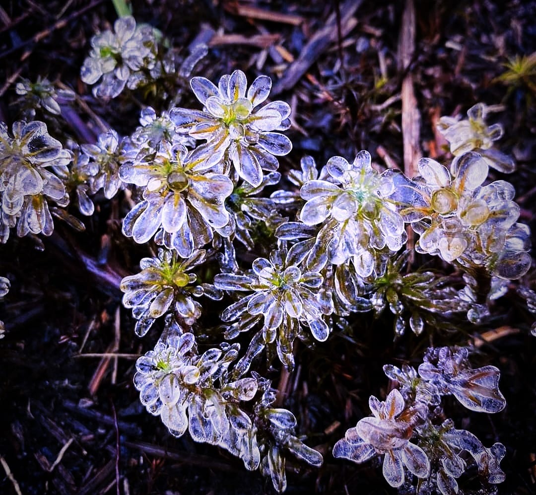 Đợt rét kỷ lục trong lịch sử, 40 năm mới có một lần ở Bắc Bộ 