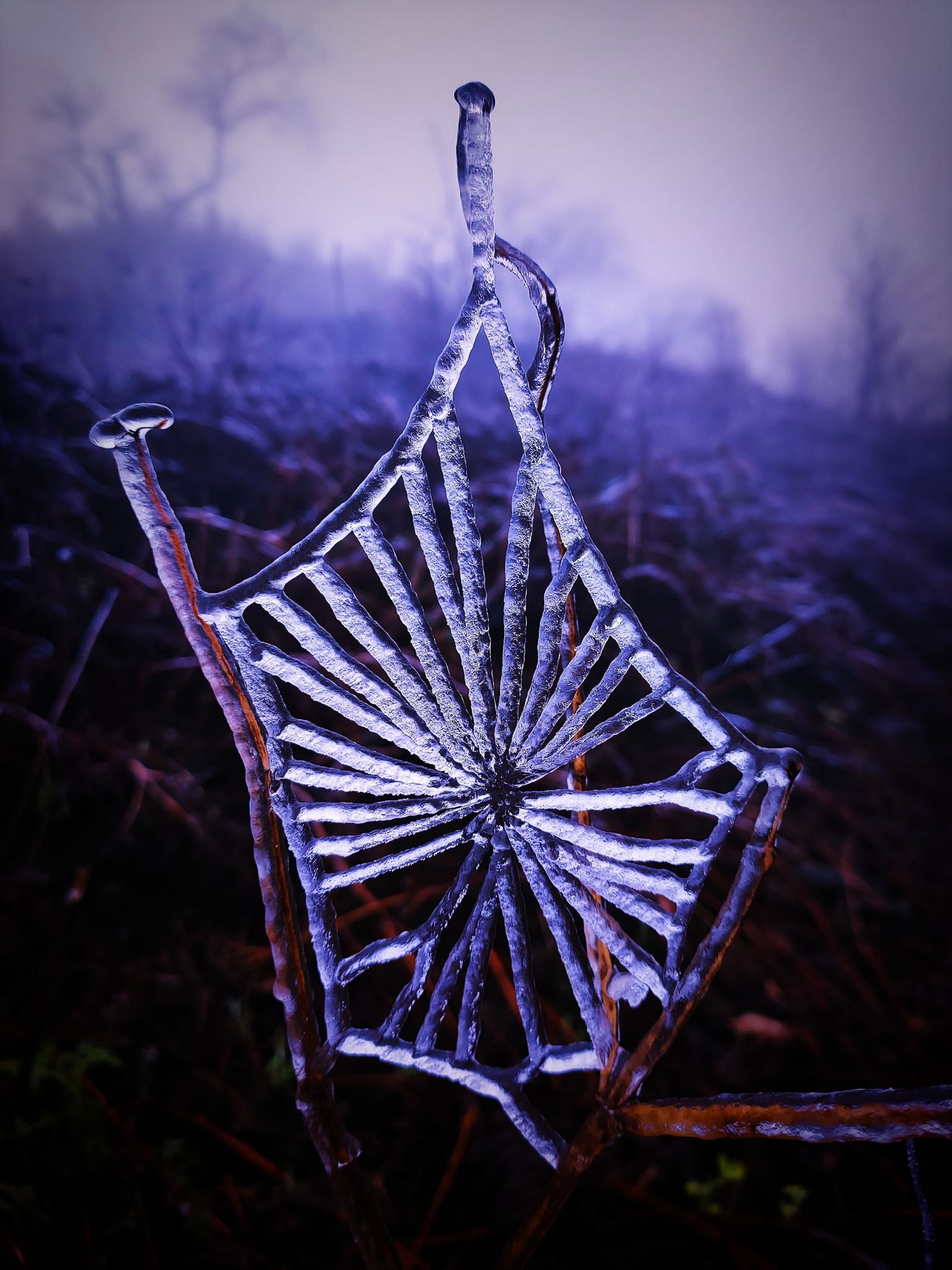 Đợt rét kỷ lục trong lịch sử, 40 năm mới có một lần ở Bắc Bộ  - Ảnh 1