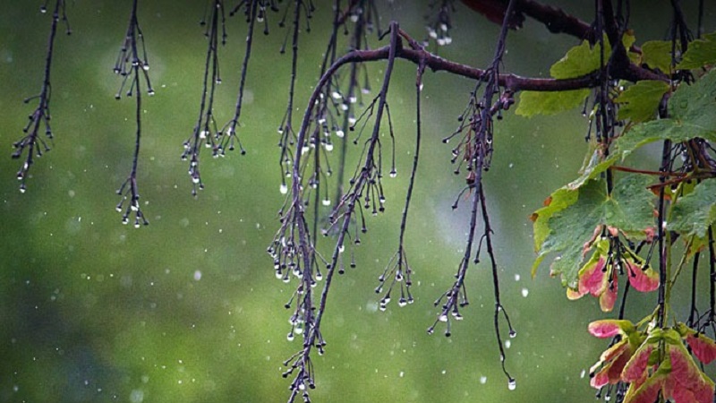 Thời tiết 10 ngày tới trên cả nước từ 12-22/3: Sáng sớm có sương mù và sương mù nhẹ rải rác