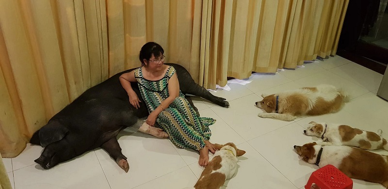 Hình ảnh yên bình tại tư gia nhà danh ca Ánh Tuyết