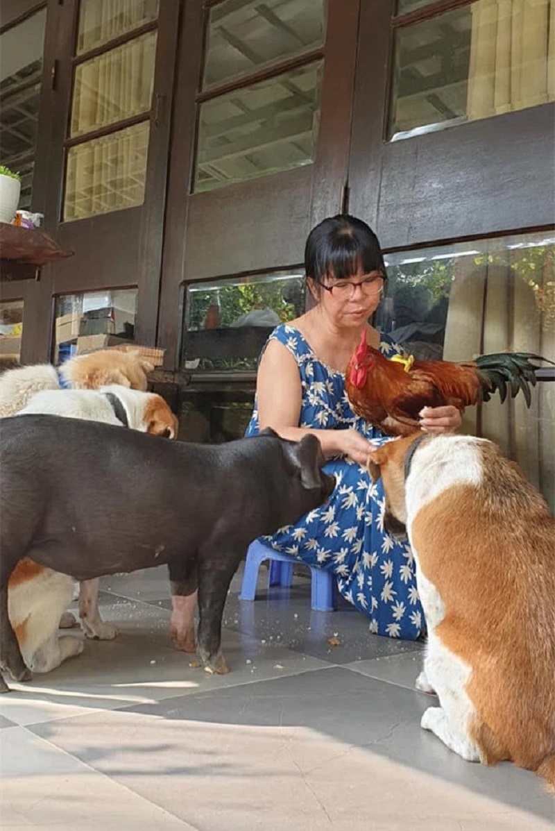 Chuyện đời danh ca Ánh Tuyết: 'Nàng thơ' tài sắc cuối cùng của cố nhạc sĩ Văn Cao - Ảnh 3