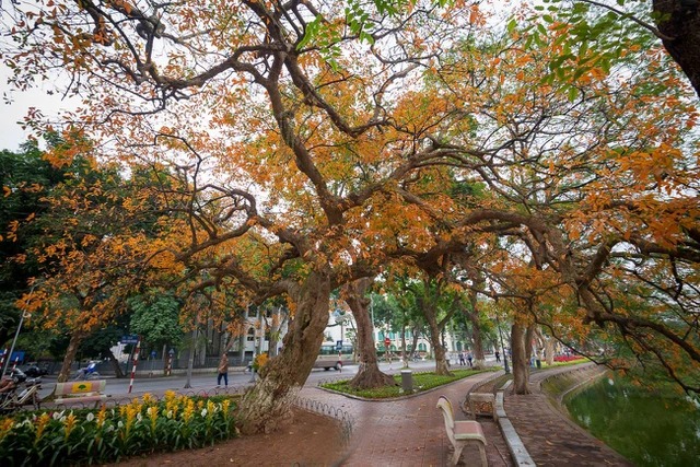 Thời tiết 10 ngày tới trên cả nước từ ngày 5-15/4: Ngày nắng và đêm không mưa, trời rét - Ảnh 1 Thời tiết 10 ngày tới trên cả nước từ ngày 5-15/4: Ngày nắng và đêm không mưa, trời rét - Ảnh 1