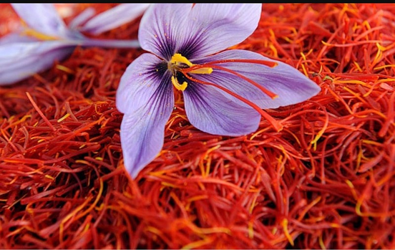 1 điểm trừ và 7 lợi ích tuyệt vời của nhụy hoa nghệ tây Saffron ai cũng nên biết - Ảnh 1 1 điểm trừ và 7 lợi ích tuyệt vời của nhụy hoa nghệ tây Saffron ai cũng nên biết - Ảnh 1