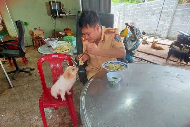 Anh chăm cún như chăm con của mình Anh chăm cún như chăm con của mình