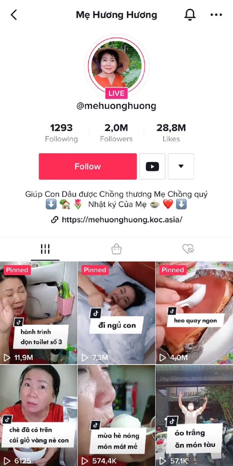 Bất ngờ thu nhập của mẹ chồng quốc dân trên 'tóp tóp' sau thời gian ngắn tham gia Tik Tok - Ảnh 2 Bất ngờ thu nhập của mẹ chồng quốc dân trên 'tóp tóp' sau thời gian ngắn tham gia Tik Tok - Ảnh 2