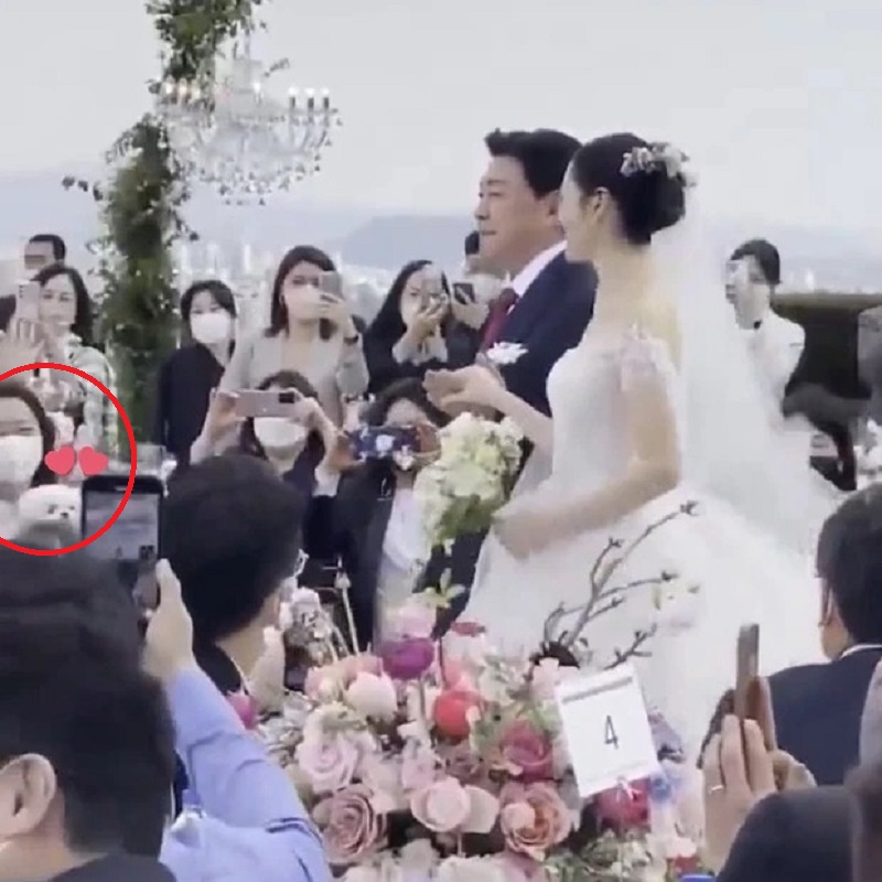 'Con cưng' của Hyun Bin và Son Ye Jin xuất hiện trong đám cưới 'Con cưng' của Hyun Bin và Son Ye Jin xuất hiện trong đám cưới