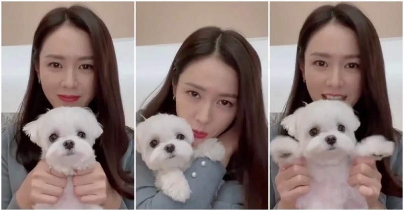 'Con cưng' của Hyun Bin và Son Ye Jin có cuộc sống đúng chuẩn 'sinh ra ở vạch đích' - Ảnh 4 'Con cưng' của Hyun Bin và Son Ye Jin có cuộc sống đúng chuẩn 'sinh ra ở vạch đích' - Ảnh 4