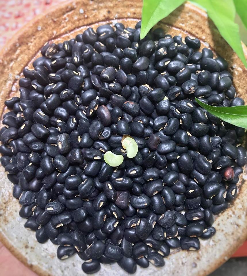 Công dụng 'thần dược' của đậu đen xanh lòng không phải ai cũng biết 2 Công dụng 'thần dược' của đậu đen xanh lòng không phải ai cũng biết 2