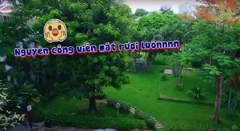 Căn nhà view ngập cây xanh Căn nhà view ngập cây xanh
