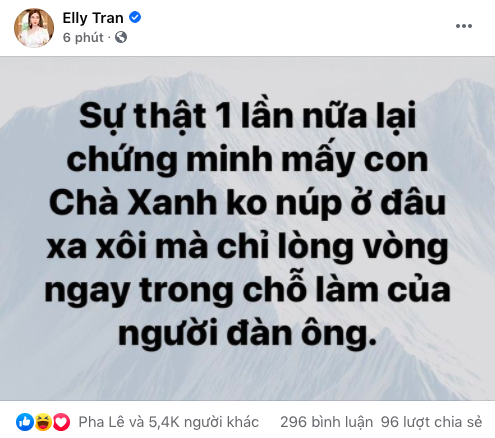 Dòng trạng thái mới nhât của Elly Trần. Ảnh: chụp màn hình Dòng trạng thái mới nhât của Elly Trần. Ảnh: chụp màn hình