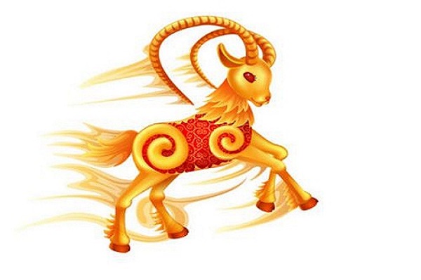 ảnh minh họa ảnh minh họa