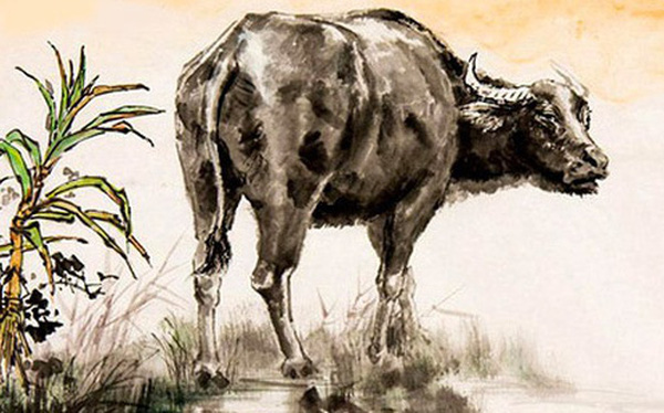 ảnh minh họa ảnh minh họa