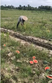 Ảnh: chụp màn hình Ảnh: chụp màn hình