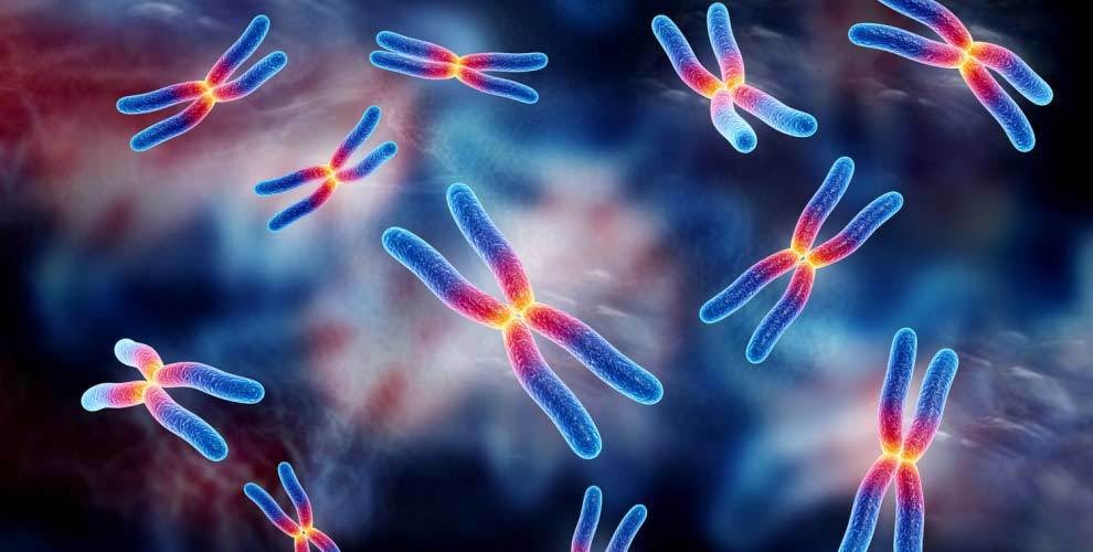 Ảnh minh họa: India Times