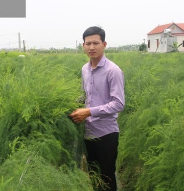 Ảnh: Dân Việt Ảnh: Dân Việt