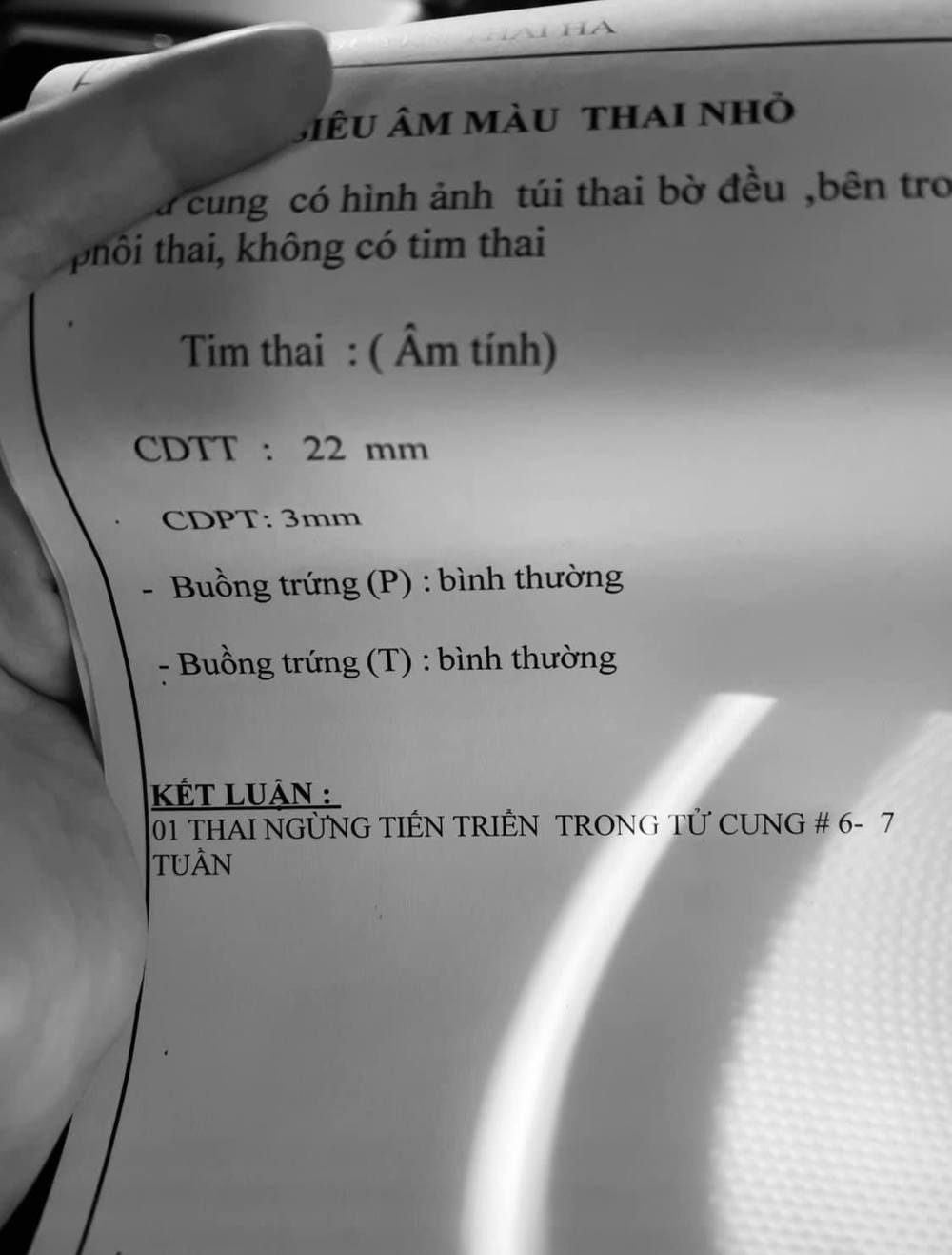Ảnh: FBNV Ảnh: FBNV