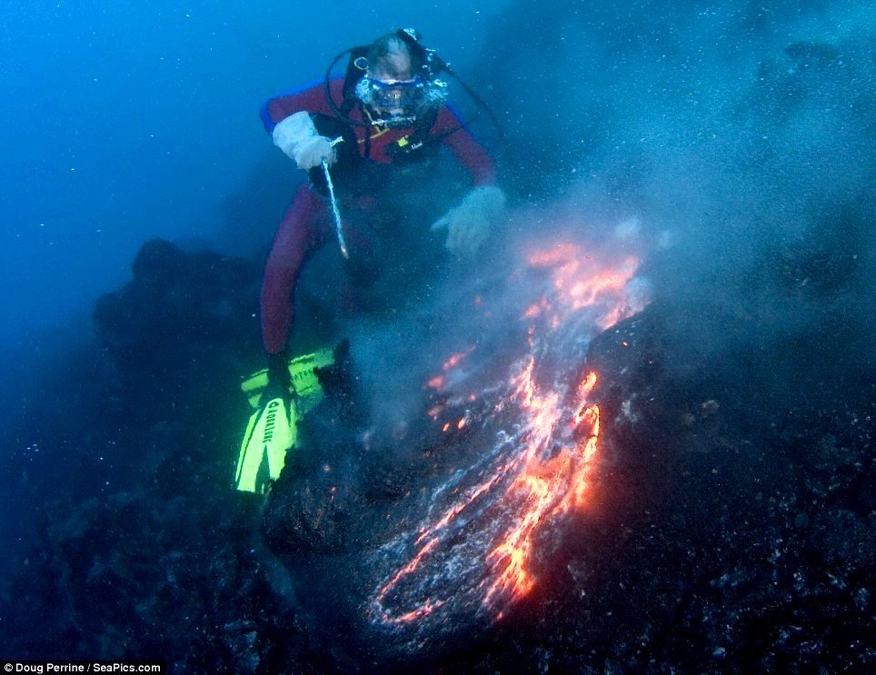 Ảnh: Seapics Ảnh: Seapics